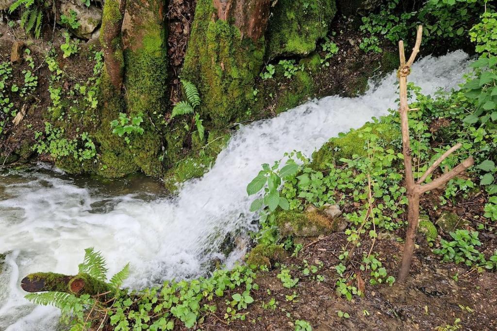 Ferienhaus Beringer Am Kallbach Traunkirchen Luaran gambar